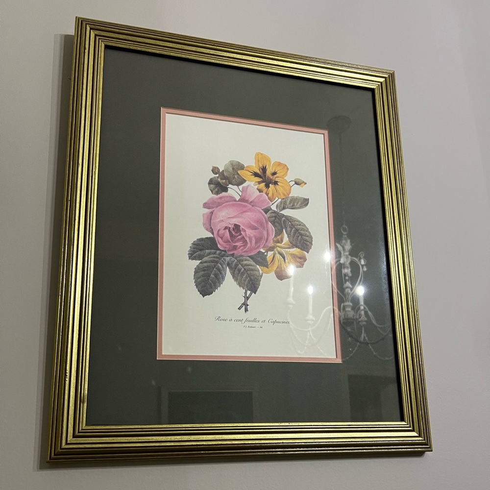 P.J. Redouté framed and matted print